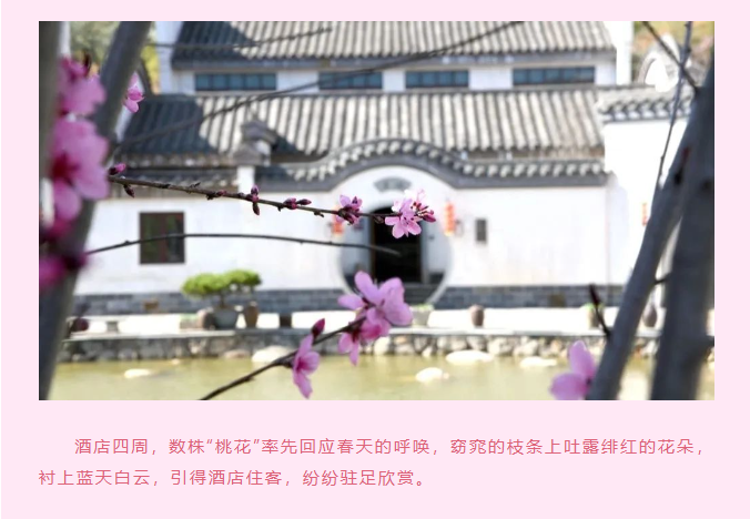 1678932147190.png